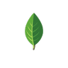 MongoDB logo